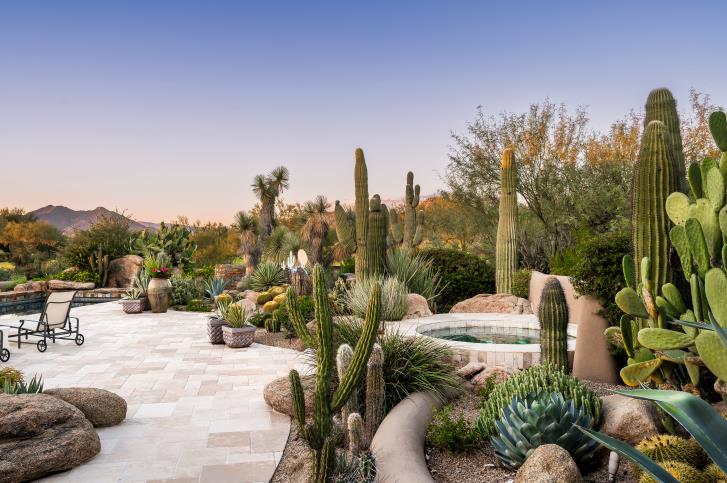 Specimen cacti and stone terraces surrounding the pool and outdoor seating.